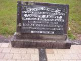 image of grave number 199950